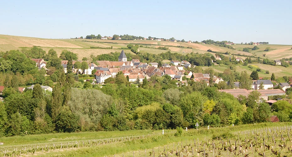 Le village de Bonny-sur-Loire et son clocher vus depuis les coteaux plantés de vignes